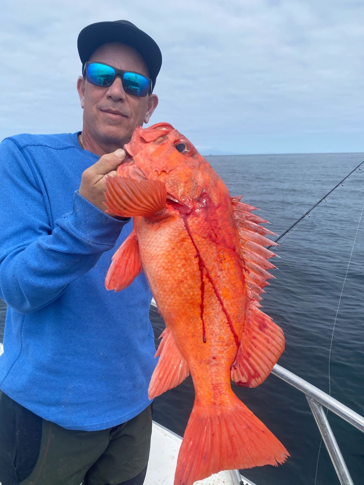 Target lingcod and rockfish on coastal water and Farallon Islands trips, with co